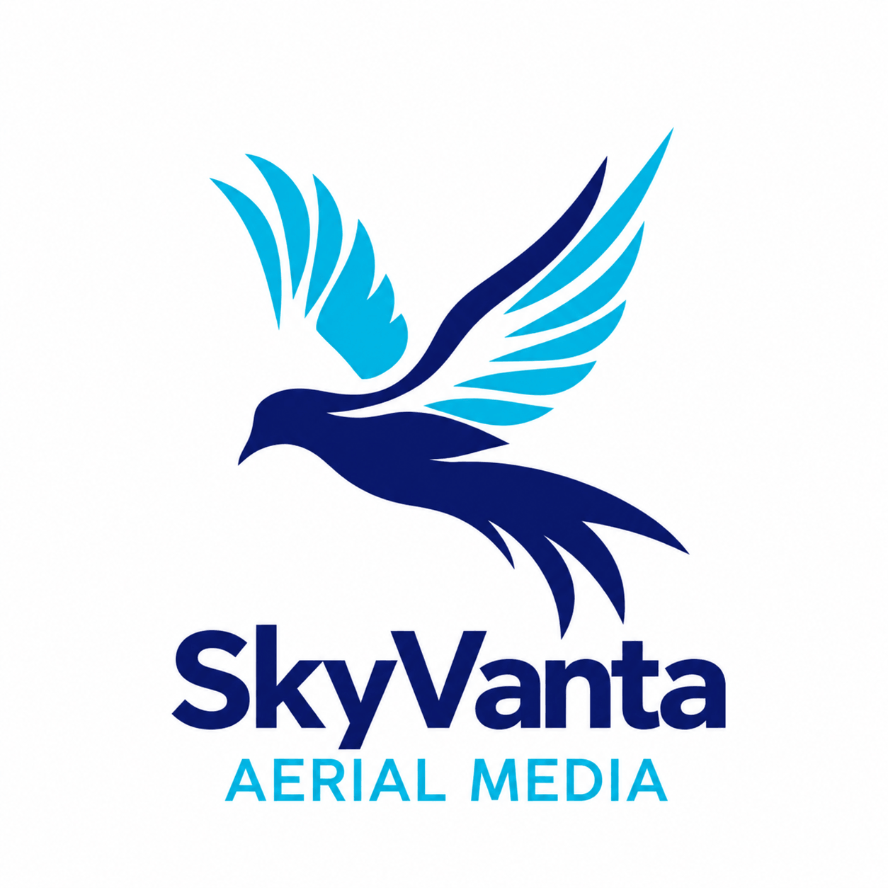 blue logo