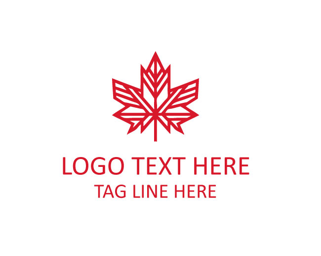 Modern Maple Leaf Logo