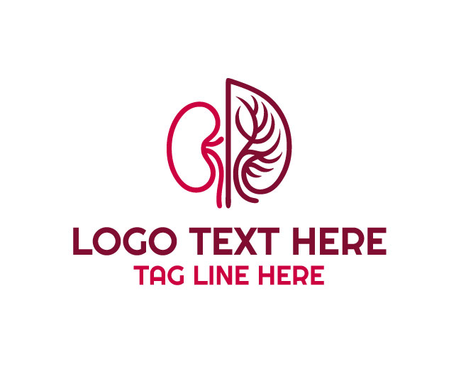  Human Body Kidney Medical Logo