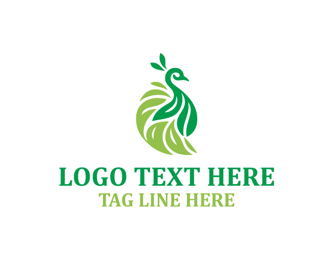  Peacock Artistic Bird Logo