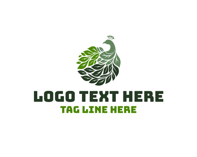 Peacock Color Burst Logo