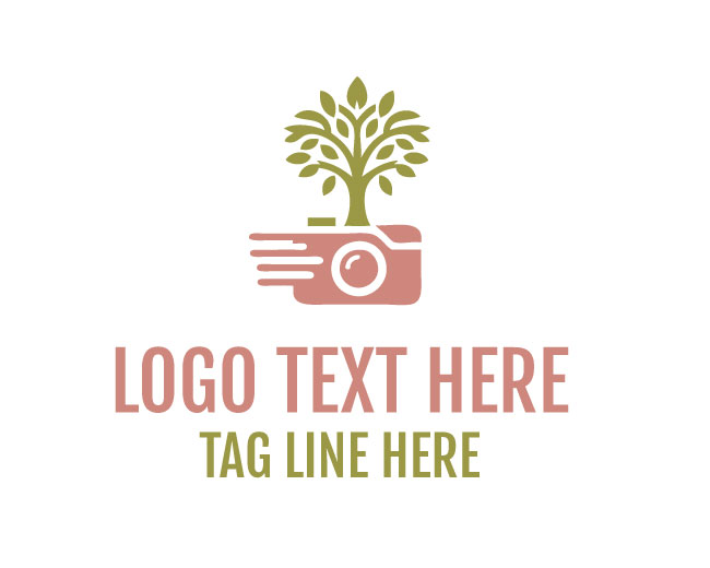 Photography Tree Logo Simple Design