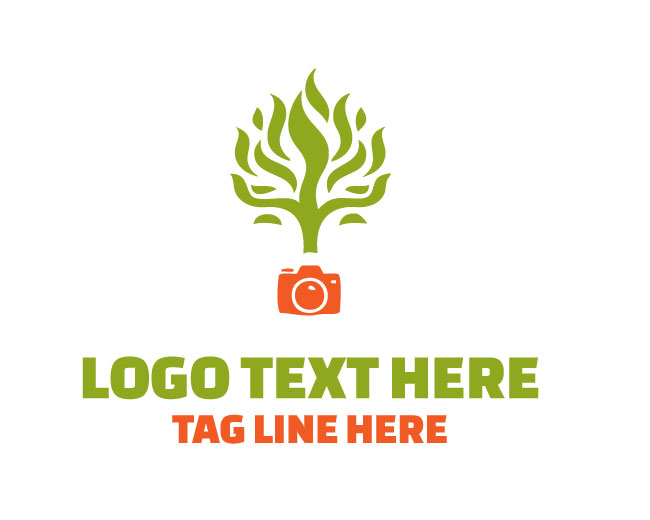Photography Tree Logo Clean Style