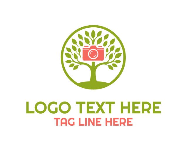 Photography Tree Logo Simple Concept
