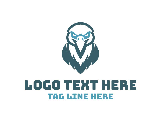 Vulture Vision Logo