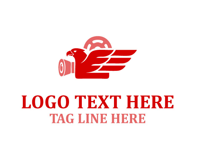 Eagle Video Studio Logo