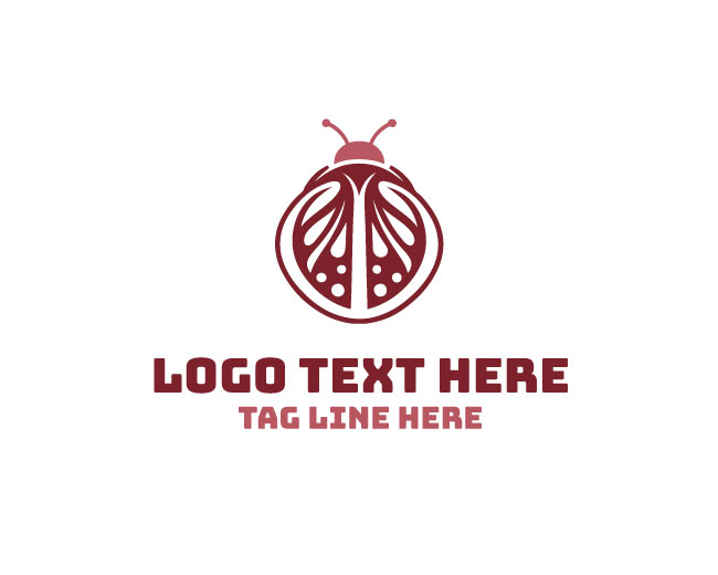  Sweet Lady Bug Logo