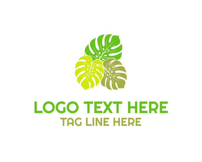 Monstera Leaf Logo