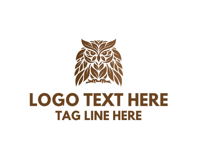 Eco Owl Clean Logo