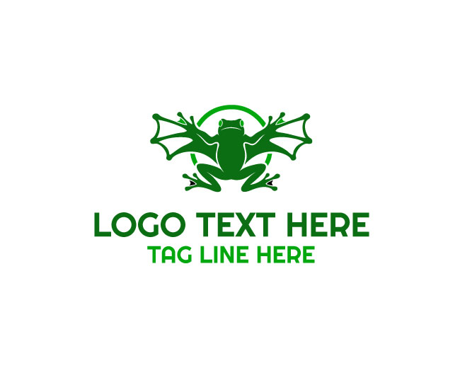  Flying Frog Adventure Logo
