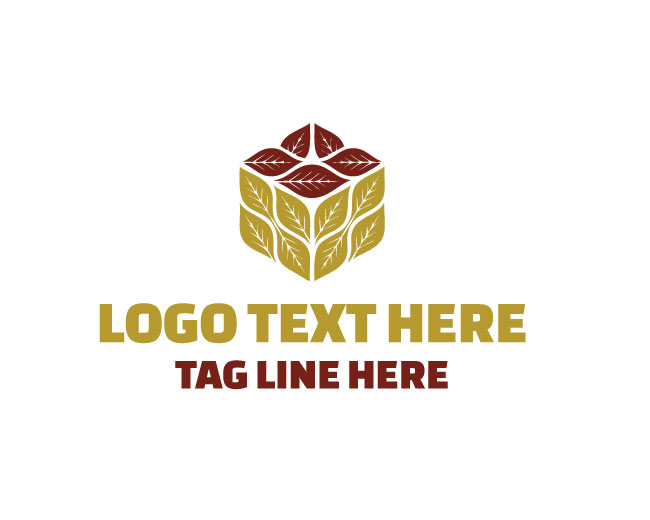 Eco Box Fresh World Logo
