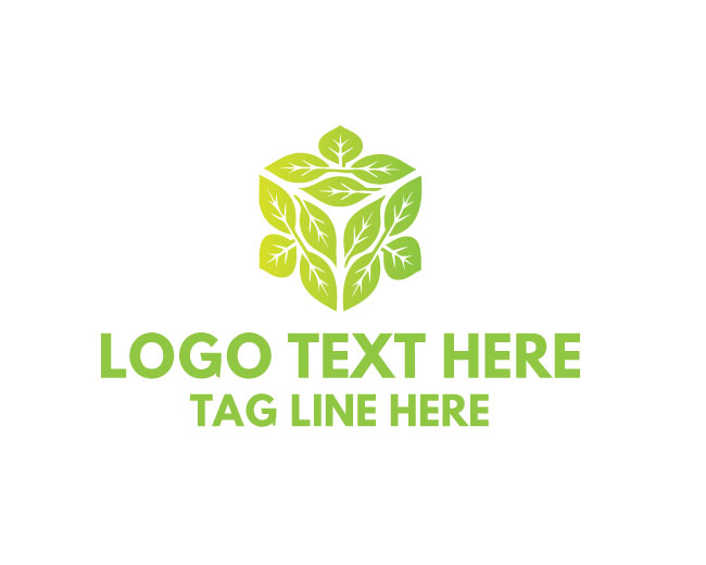 Eco Box Green Vision Logo