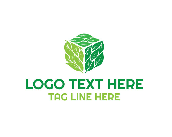 Eco Box Earth Rise Logo