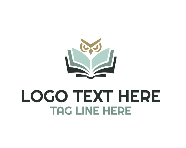 Owl Book Vision Pages Logo