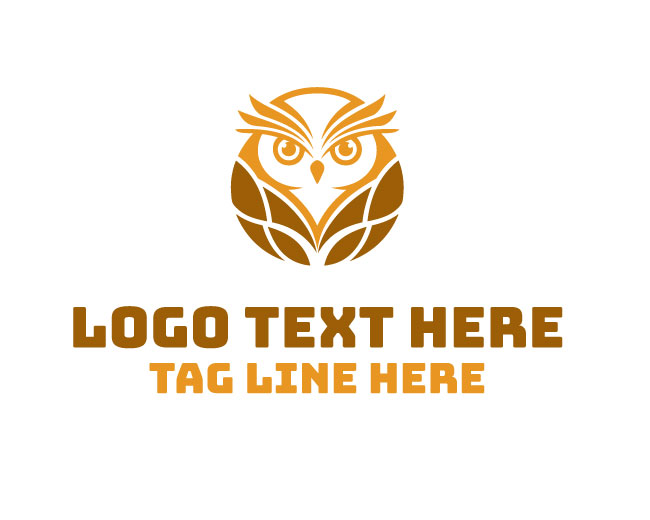  Owl Book Wise Reader Logo