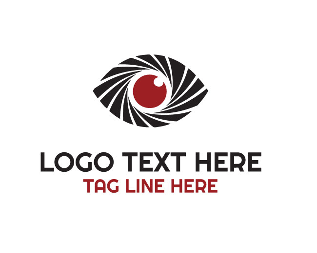 Zenith Swirl Eye Logo