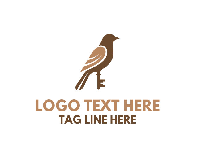 Bird Key Aero Key Logo