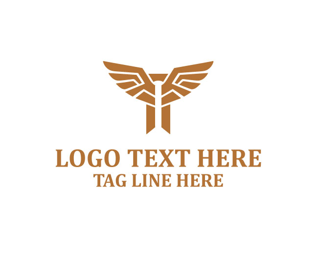 Visionary T Logo