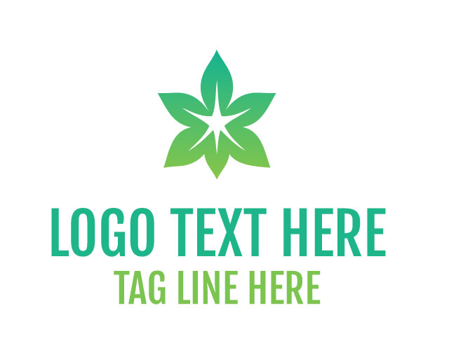  Eco Flower Star Logo