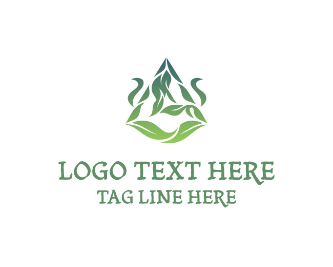 Abstract Leaf Swirl Logo