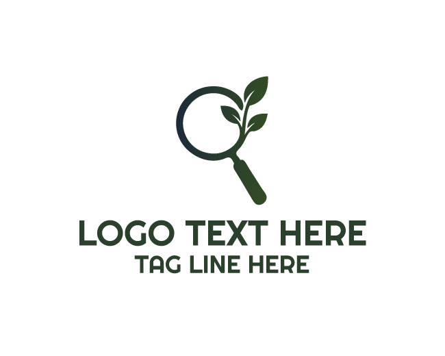 Eco Explorer Logo