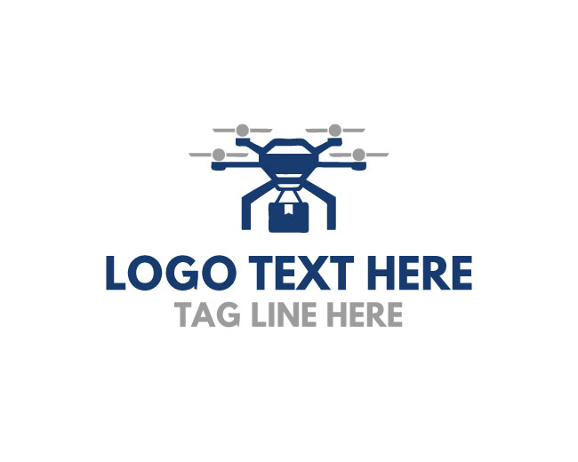 Swift Drone Delivery Logo