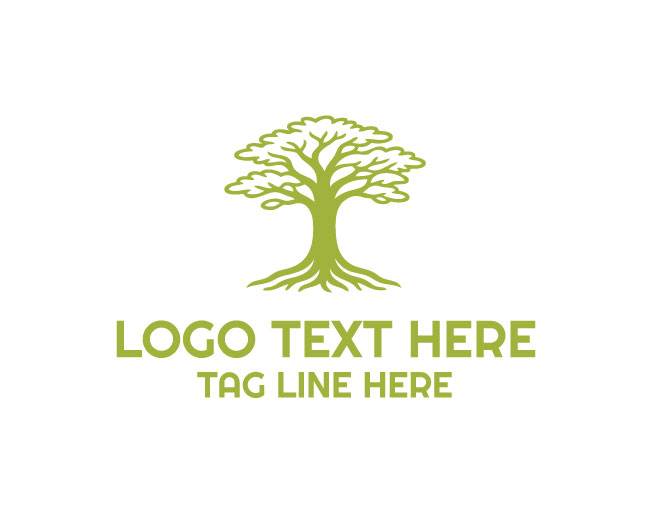 Bald Cypress Tree Nature Logo