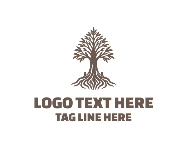 Organic Bald Cypress Nature Logo