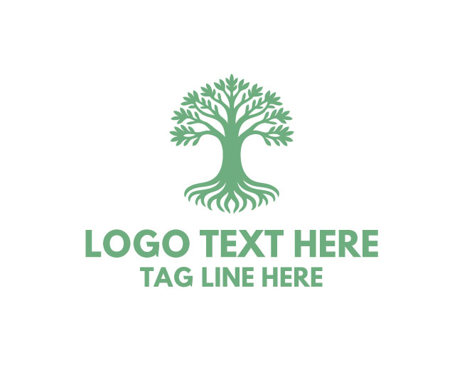 Eco Bald Cypress Tree Logo