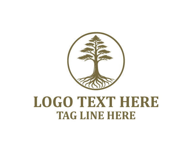Eco Roots Cypress Tree Logo
