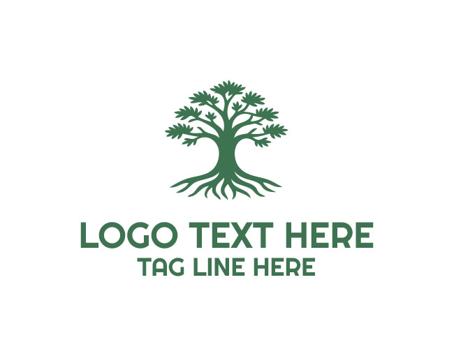 Ancient Cypress Tree Logo