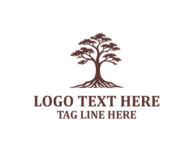  Serene Cypress Tree Logo