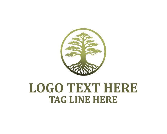 Whispering Bald Cypress Tree Logo