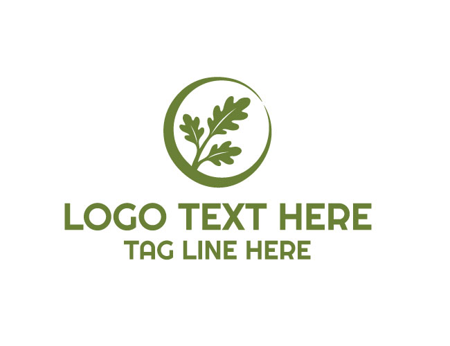  Oak Acorn Leaf Root Logo