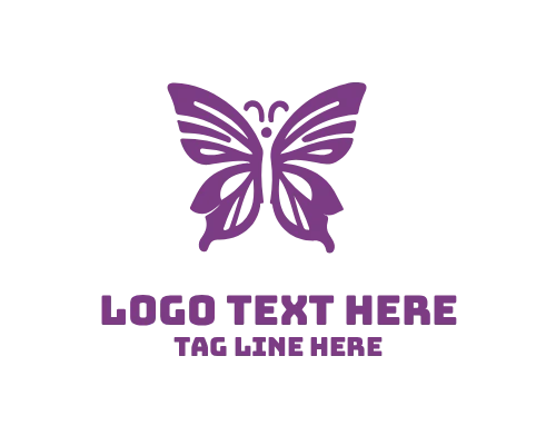 Abstract Butterfly Logo