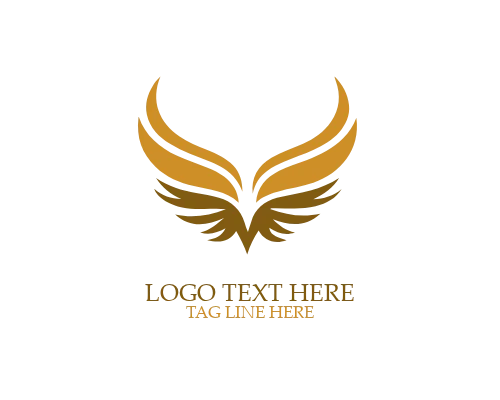 Abstract Geometric Wings Logo