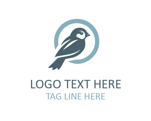 Abstract Sparrow Bird Logo
