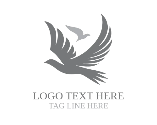  Abstract Wing Flight Bird Logo