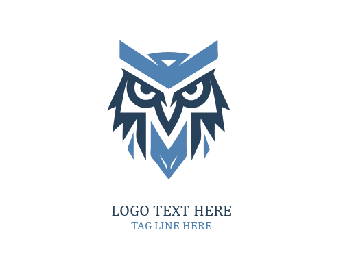 Academic Night Owl Logo