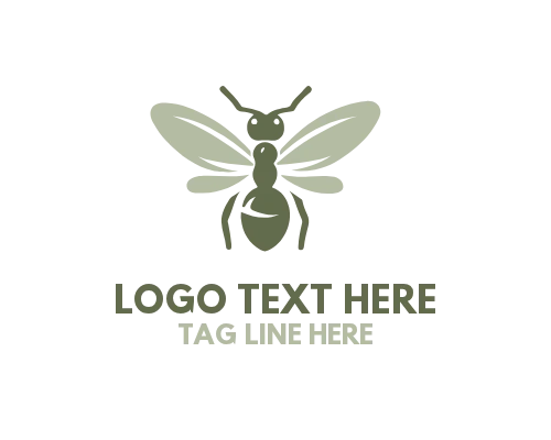 Ant Logo design