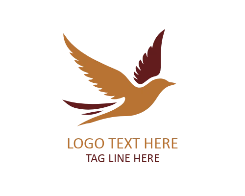 Arc Motion Flying Bird Logo