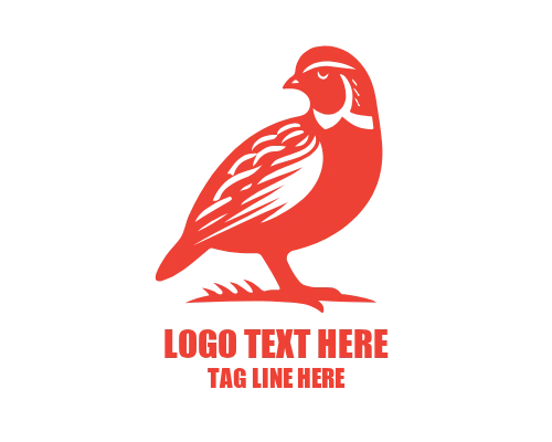 Artistic Quail Design Logo