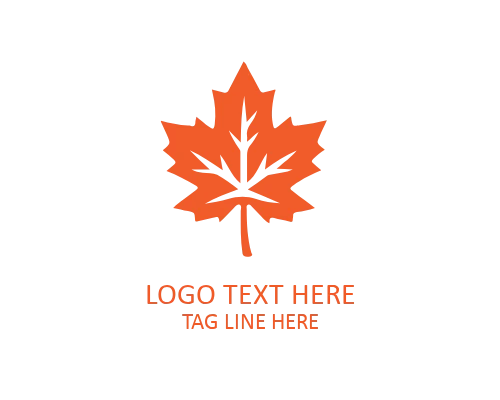 Autumn Leaf Outline Logo for Clean Botanical Branding