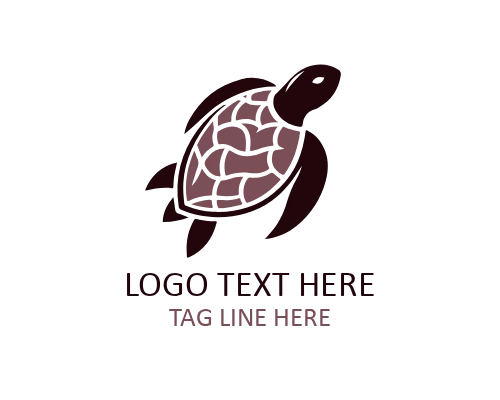 Baby Turtle Cute Animal Logo