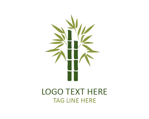 Bamboo Organic Brand Logo