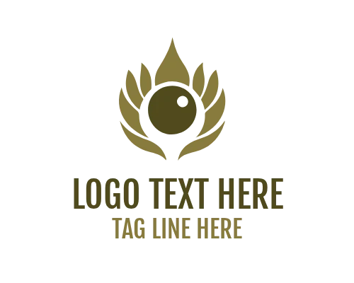 Best Animal Eye Logo