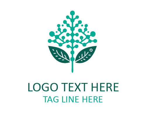 Bio Tech Minimal Lab