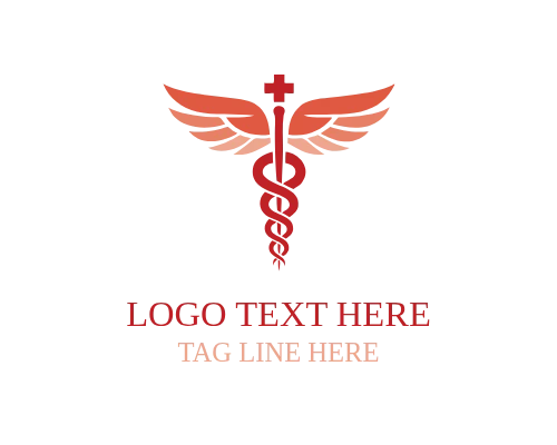 Caduceus Medical Care Emblem