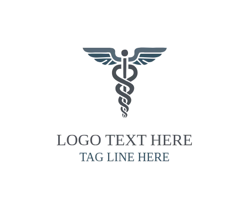 Caduceus Medical Services Logo