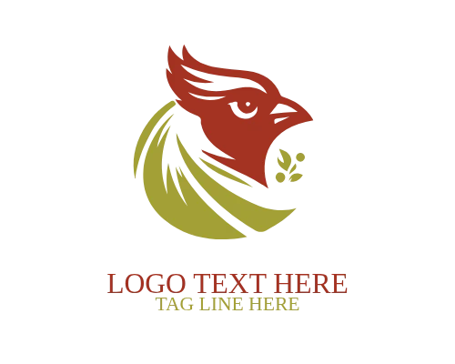 Cardinal Soft Head logo.